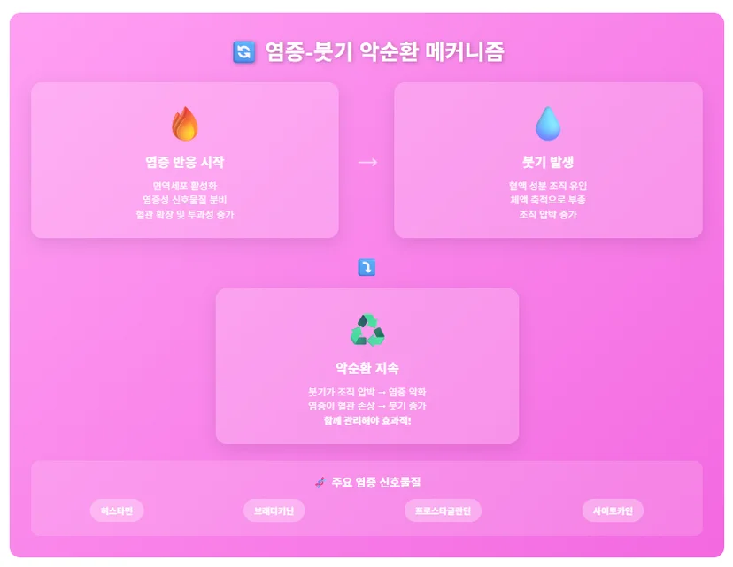 염증 반응 시작, 붓기 발생, 악순환 지속