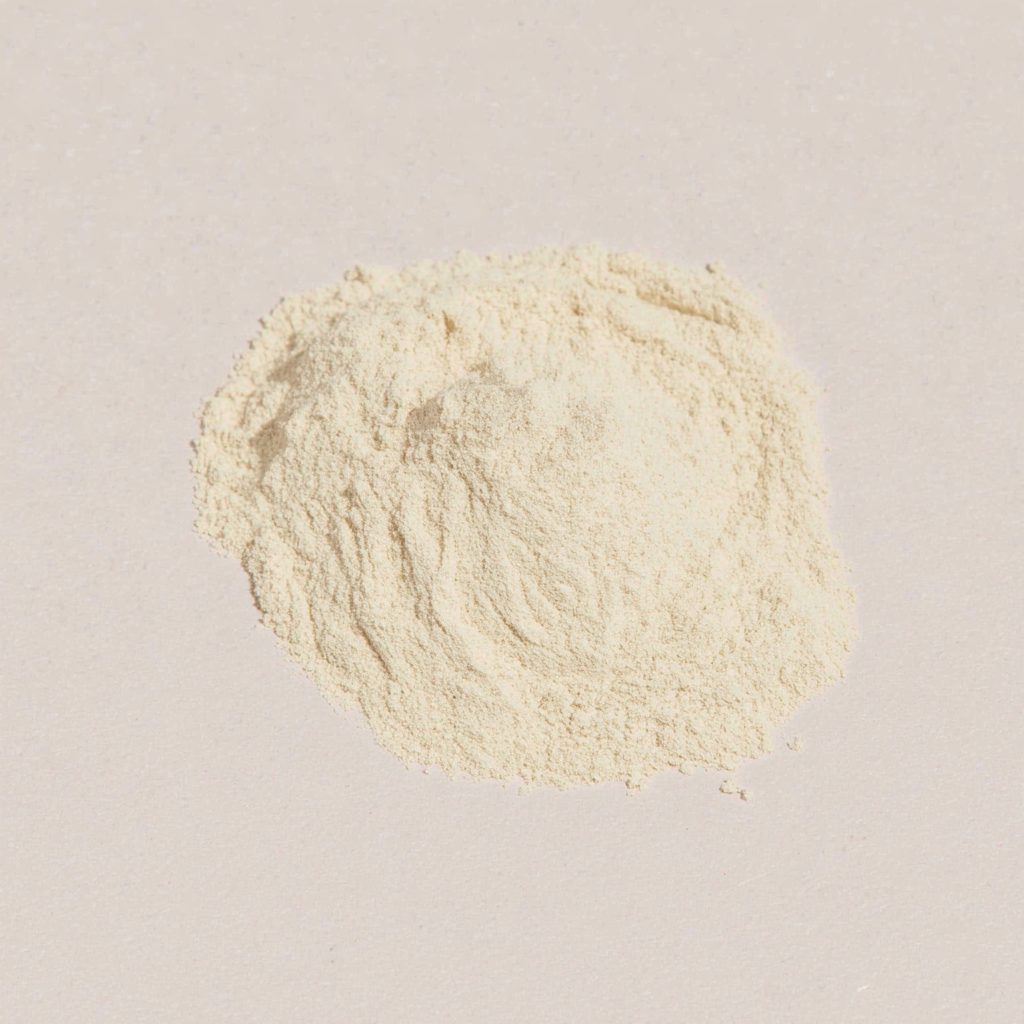 White Tomato Concentrate Extract Powder Close-up